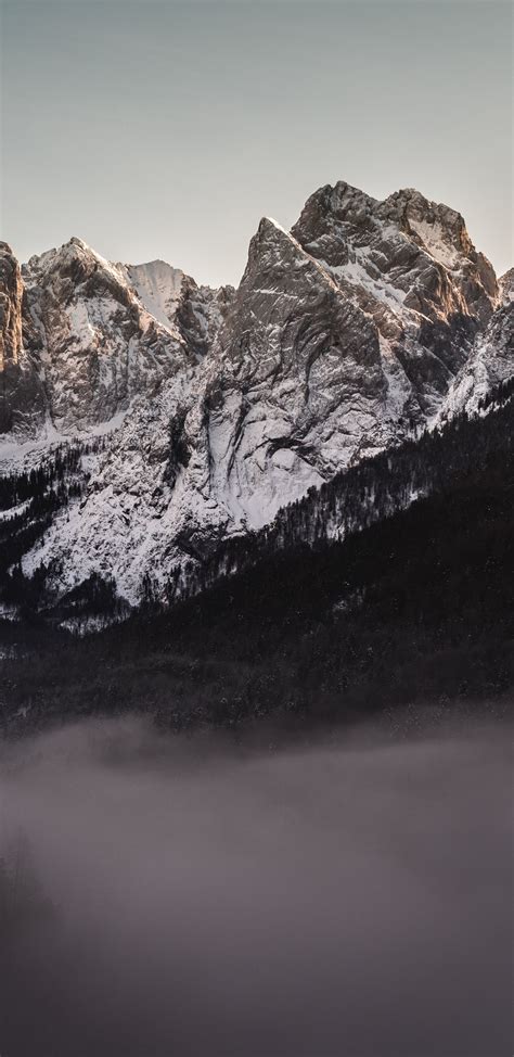 Download Wallpaper 1440x2960 Forest Valley Fog Mountains Samsung