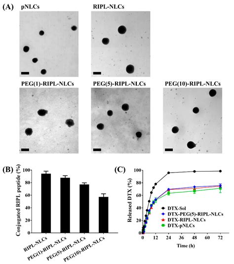 Pharmaceutics Free Full Text Sterically Stabilized Ripl Peptide