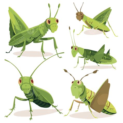 Fried Grasshopper Clipart Png Vector Psd And Clipart With