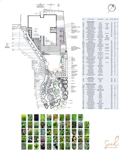 Garden Planting Plans Seed Landscapes Auckland Landscape Designer