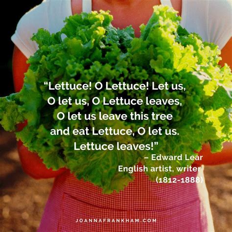 Lettuce Quotes Angel Vegetable