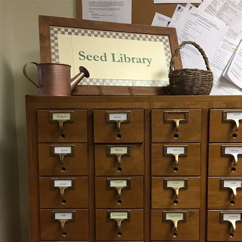 Public Libraries Are Handing Out Free Seed Packets To Promote