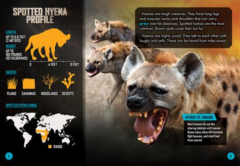 Lion Vs Hyena Clan Bellwether Media Inc