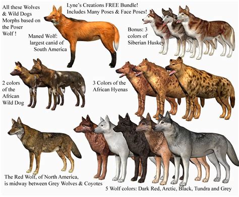 Wolf Species Alphawolves
