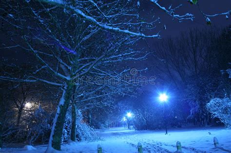 Winter Night Scene Stock Photo Image Of Cool Falling