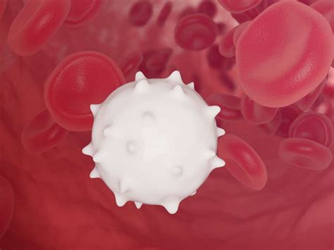 Can Too Many White Blood Cells Cause Cancer Cancerwalls