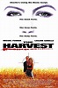 La cosecha (1993) - Película eCartelera