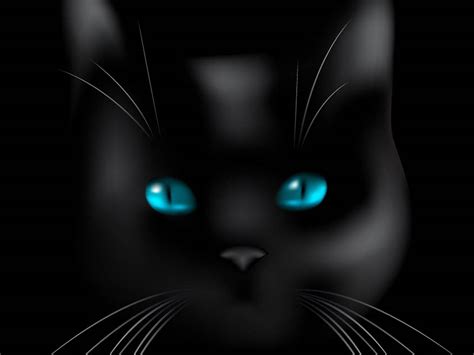 Wallpaper Black Cat Blue Eyes