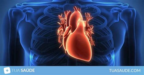 8 principais causas de dor no coração e o que fazer Tua Saúde