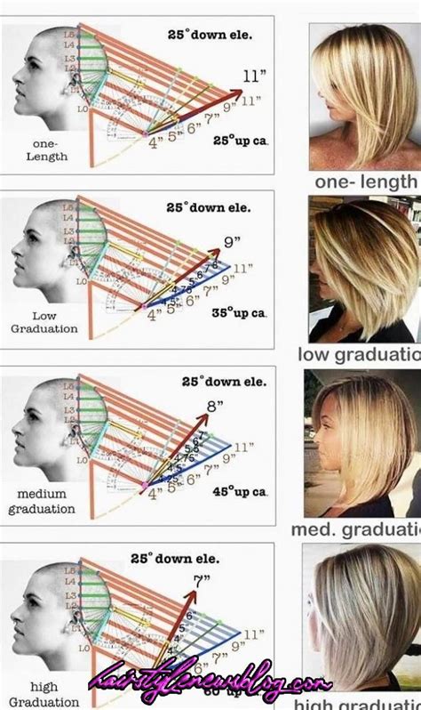 21 How To Cut Curly Hair Diagram Viral Hutomo