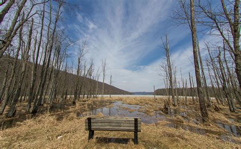 Canadice Lake Photograph By Daniel Dangler Fine Art America