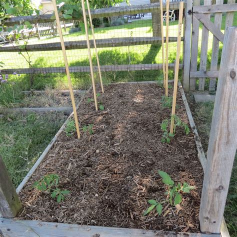 The Rusted Vegetable Garden