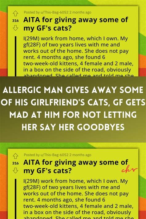 allergic man gives away some of his girlfriend s cats gf gets mad at him for not letting her say