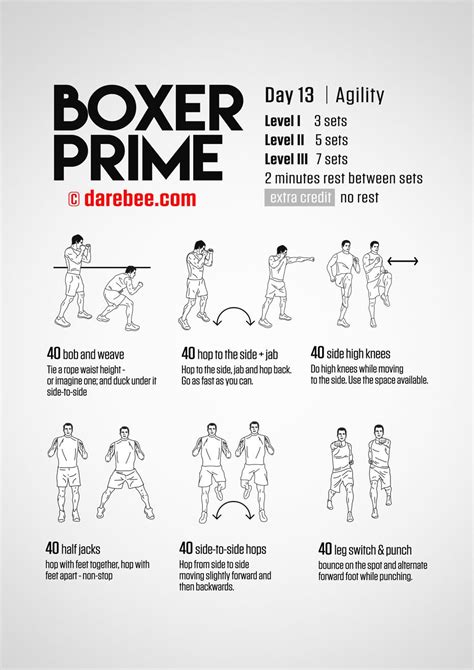 Boxer Prime 30 Day Fitness Program Kickboxing Workout Boxing