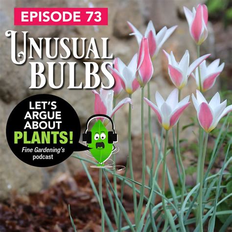 Episode 73 Unusual Bulbs Finegardening Fine Gardening Magazine