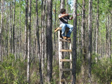 Five Fundamentals Of Safe Hunting Florida Sportsman