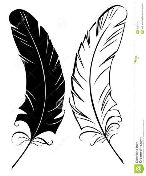 Silhouette Black And White Feather Stock Images Image 4644714