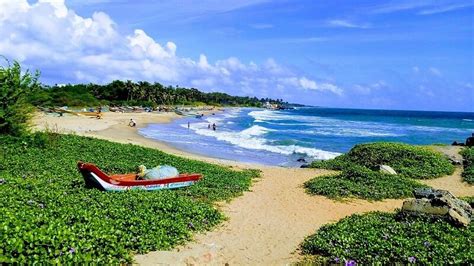 Top 7 Beaches In Pondicherry You Must Visit Tusk Travel