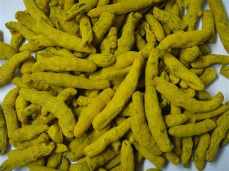 Turmeric Finger Manufacturers Suppliers In India