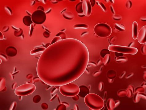 What Is Aplastic Anemia With Pictures