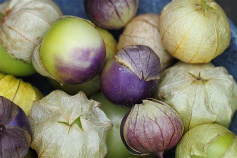 Hot Tomatillo Chutney Grown To Cook