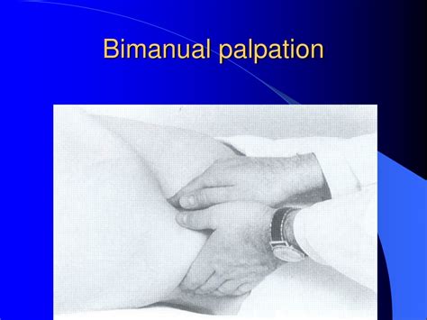 Ppt Physical Examination Powerpoint Presentation Free Download Id 9331818