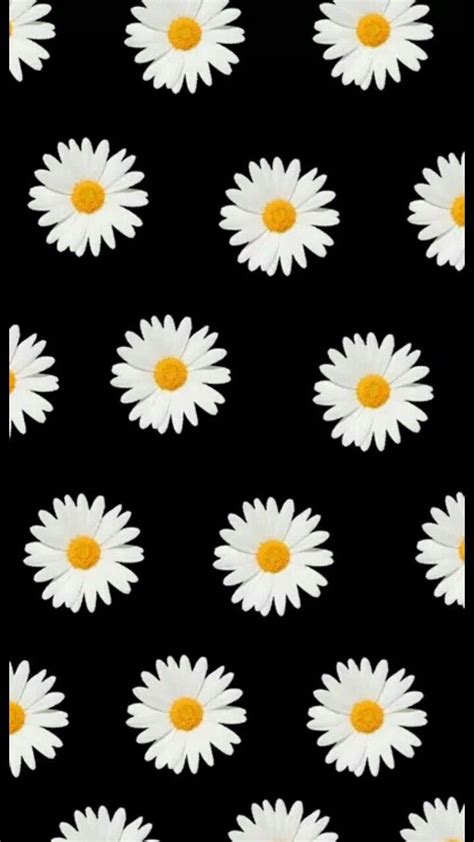 Pin By Ilana On Wallpapers Daisy Wallpaper Iphone Wallpaper