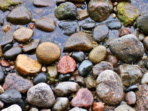 Beach Sea Water Rock Texture Cobblestone Stone Stream Model Color