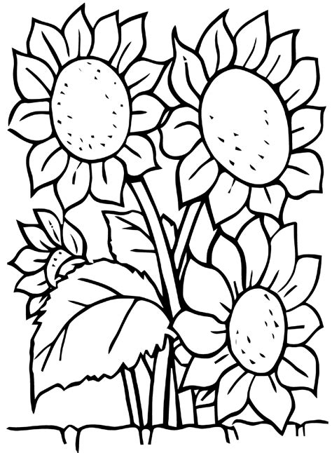 Sunflowers Flowers Coloring Pages For Kids To Print And Color