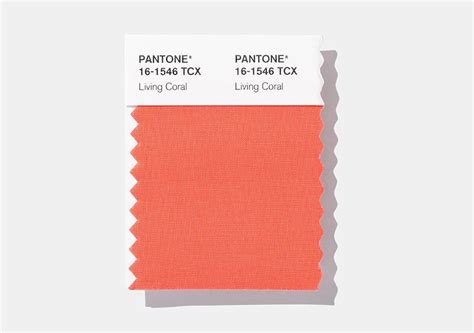 Pantone Color Institute Named The Main Color Of 2019 Журнал Ярмарки