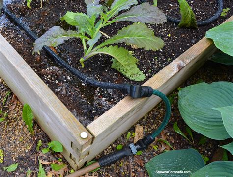 Drip Irrigation For Container Gardens Or Elevated Garden