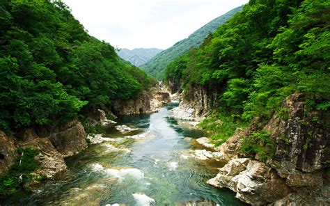 Download Wallpapers Mountain River Stones Forest Mountains Japan