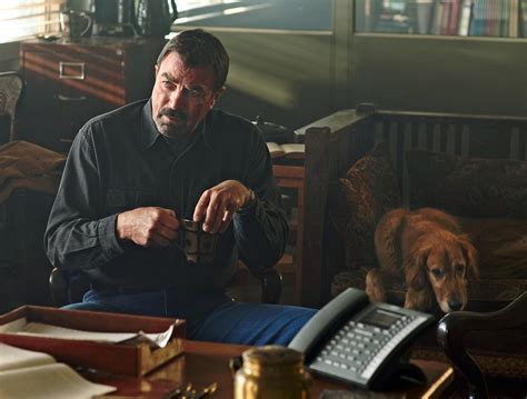 Jesse Stone Movies In Order A Cinematic Journey Through Crime And