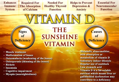 Vitamin d, which is technically a hormone rather than a vitamin, is a crucial nutrient. D3/K2 Power - Dr. Jockers Store
