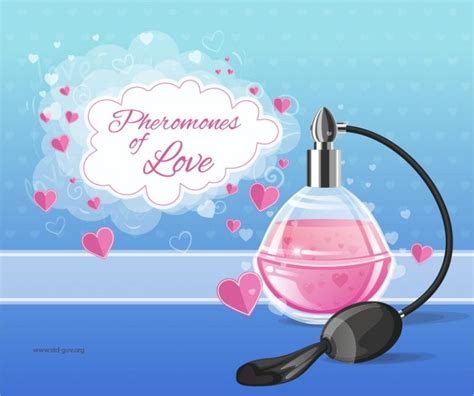 Pheromone Perfume Does Pheromone Perfume Work