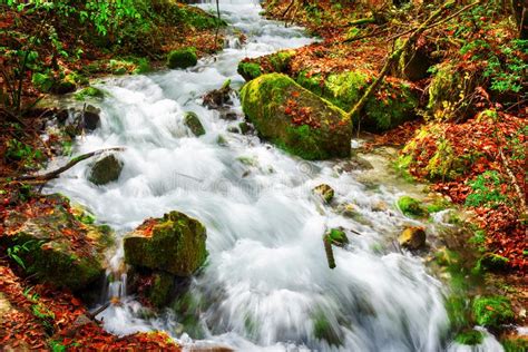 Amazing View Of Mountain River Among Mossy Stones In Autumn Stock Image