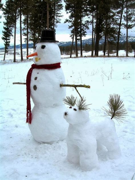 Snowmans Best Friend A1 Pictures