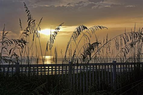 Sea Oat Sunset Photograph By Hh Photography Of Florida Pixels