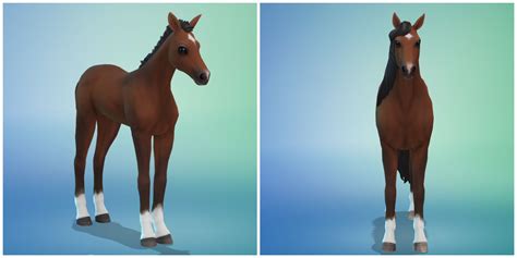 The Sims 4 Horse Ranch How To Age Up Horses