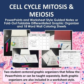 Cell Cycle Mitosis Meiosis Powerpoints Graphic Organizers Word 7068