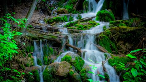 Free Images Tree Nature Waterfall Wilderness Stream