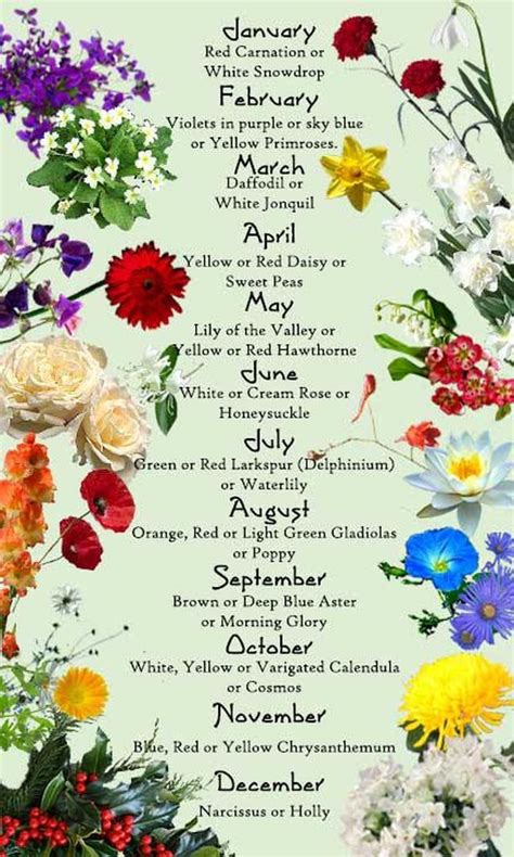 Birthday Blossom Chart Inspire Flowers Birth Month Flowers Birth
