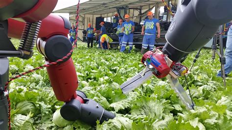 Robots Emerging As Agricultural Co Workers Robotics And Automation News