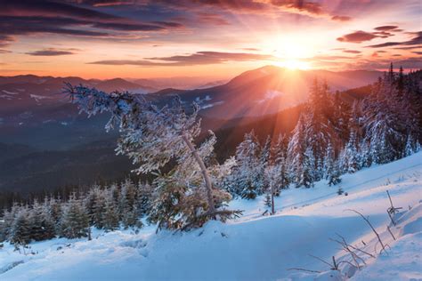 Glaring Sunshine And Beautiful Winter Snow Scene Stock Photo 09 Free Download