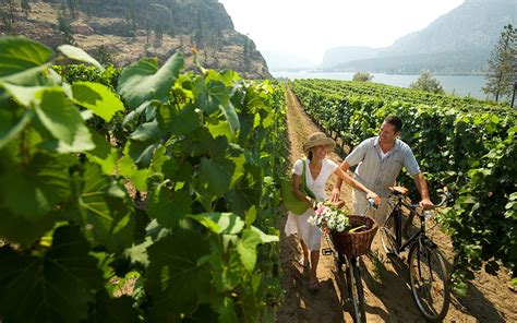 Best Vineyards To Visit In British Columbia