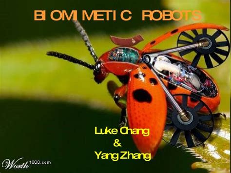 Biomimetic Robot