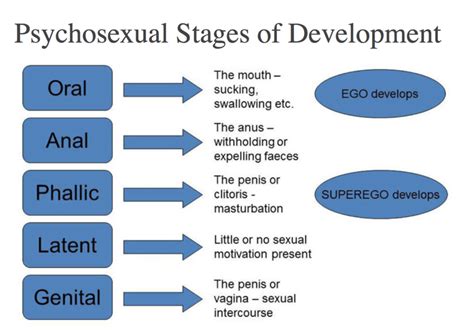 👍 Freud Oral Stage Freuds Psychosexual Stages Of Development Oral Anal Phallic Latency