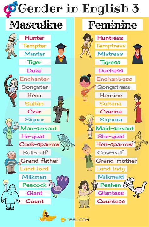 gender of nouns useful masculine and feminine list 7esl gender in english learn english