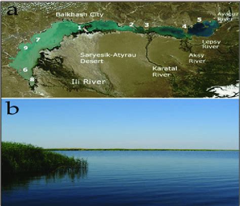 Map Of The Balkhash Lake With The Hydrological Regions And The Falling
