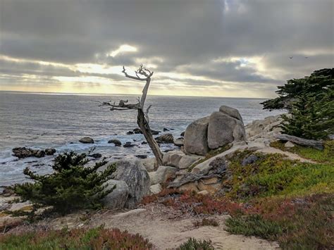 17 Mile Drive Monterey In Pictures With Maps Bright